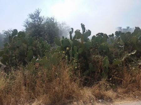 طواقم الدفاع المدني وبلدية الزبابدة تخمد حريقا في الجهة الجنوبية من البلدة